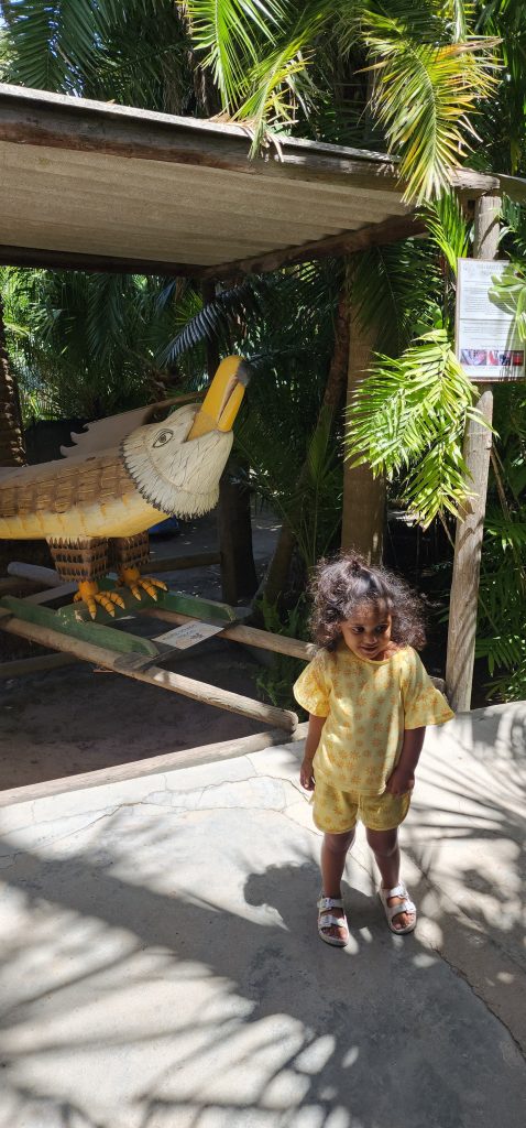 Our visit to the world of birds